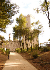 erice